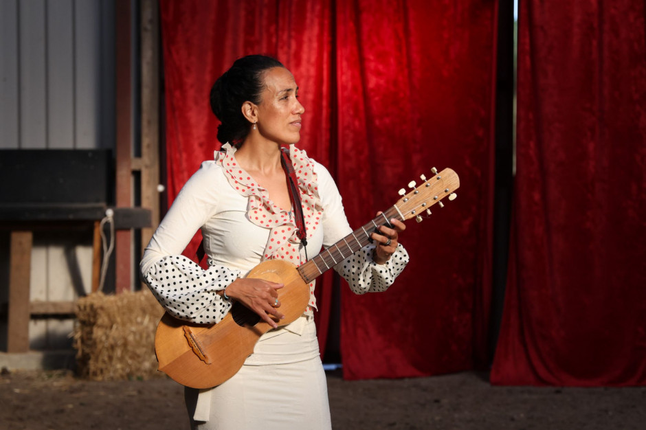 Danish Songs in Flamenco Dress