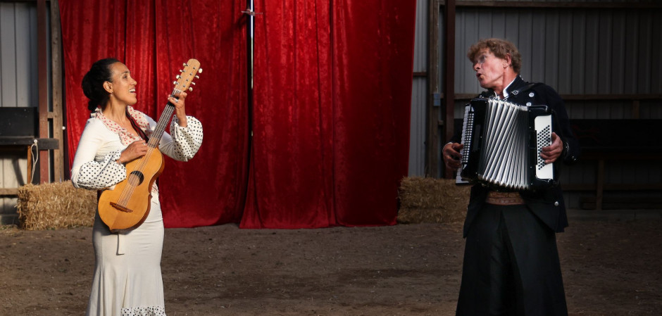 Danish Songs in Flamenco Dress